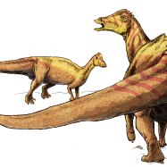 Nipponosaurus