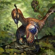 Jinfengopteryx