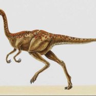 Archaeornithomimus