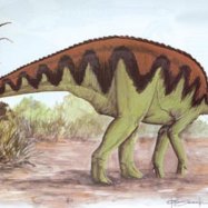 Bactrosaurus
