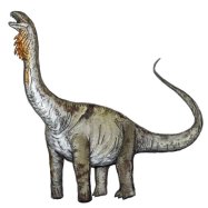 Huabeisaurus