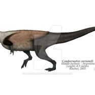 Condorraptor
