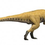 Leshansaurus