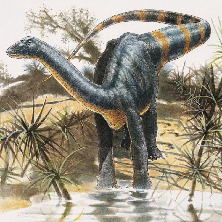 Magyarosaurus