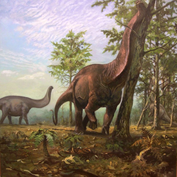 Eobrontosaurus
