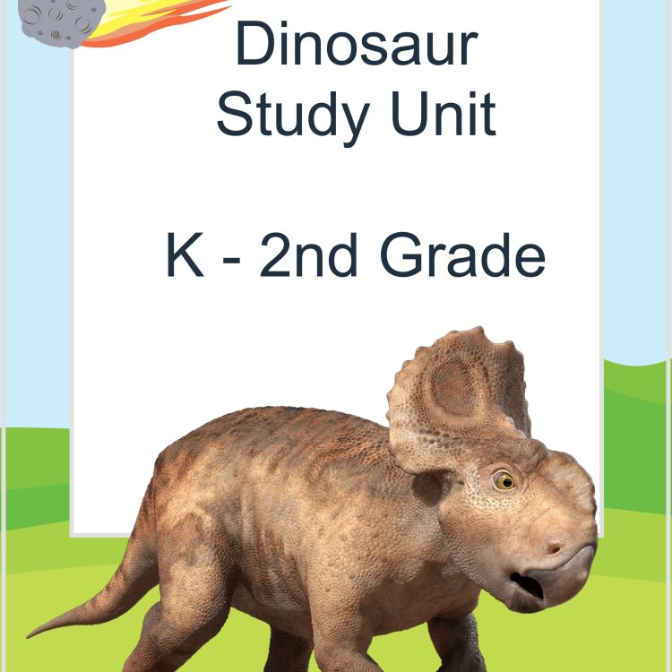 Study Of Dinosaurs