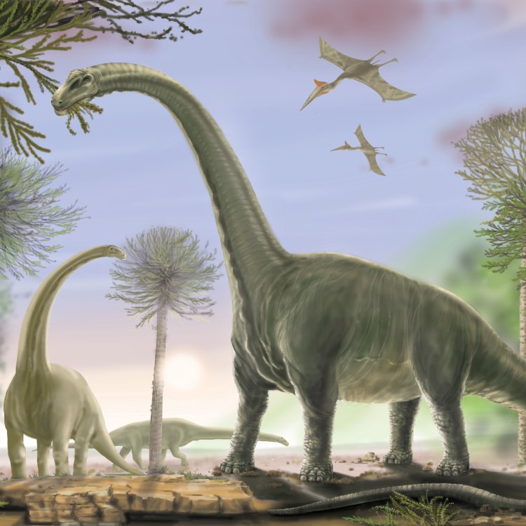 Titanosaurids