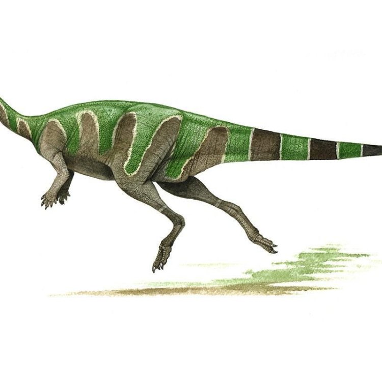 Valdosaurus