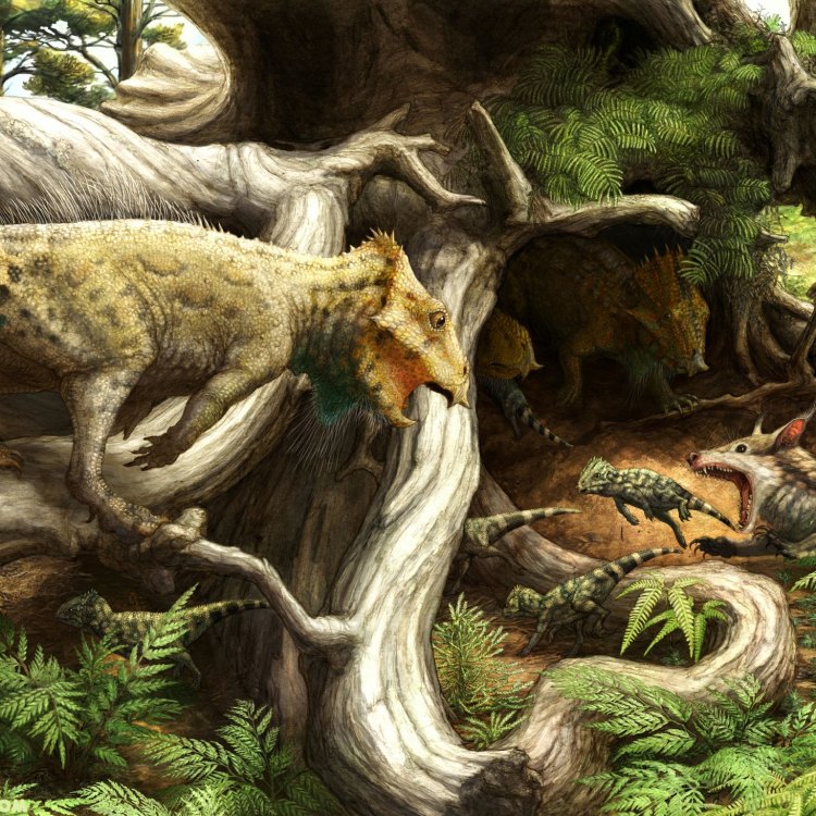Liaoceratops