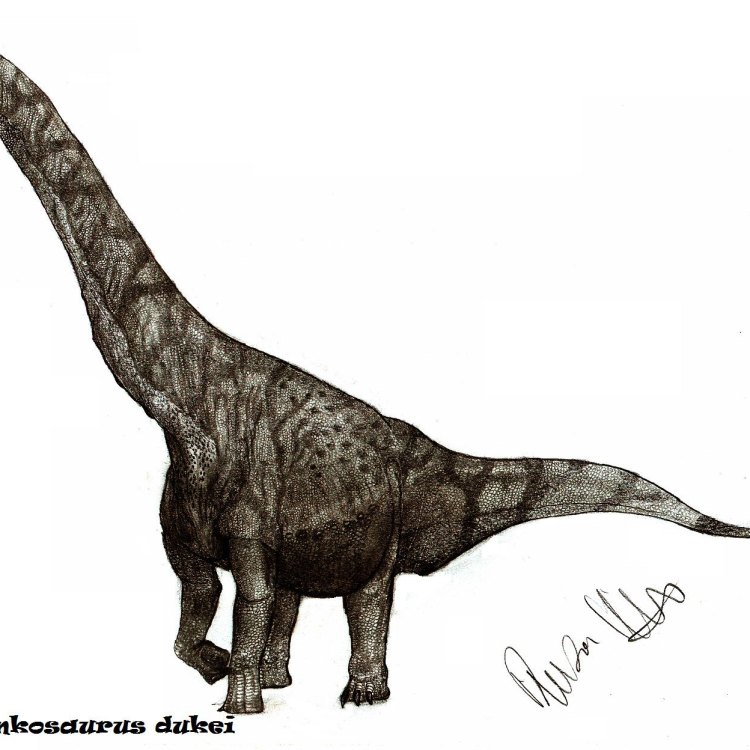Futalognkosaurus