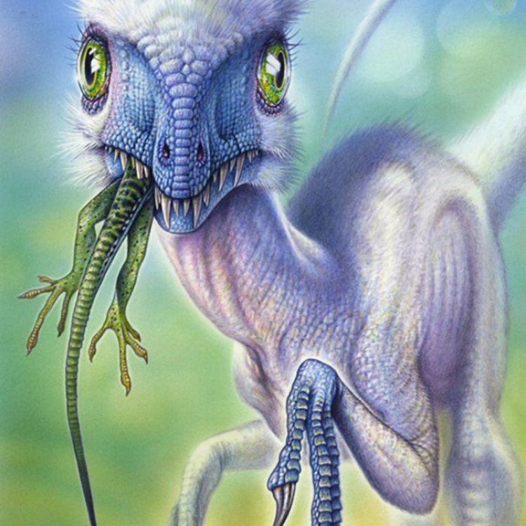 Scipionyx