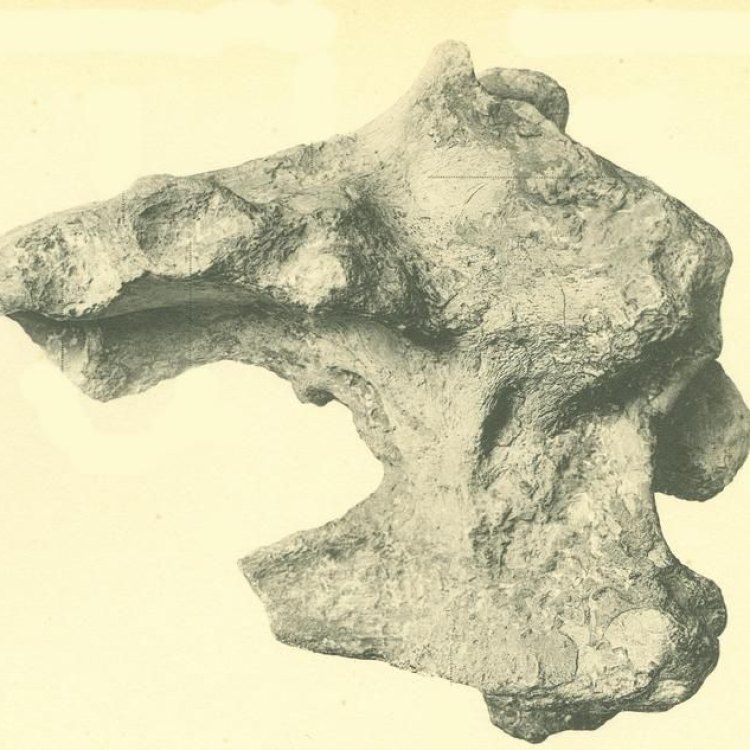 Piveteausaurus