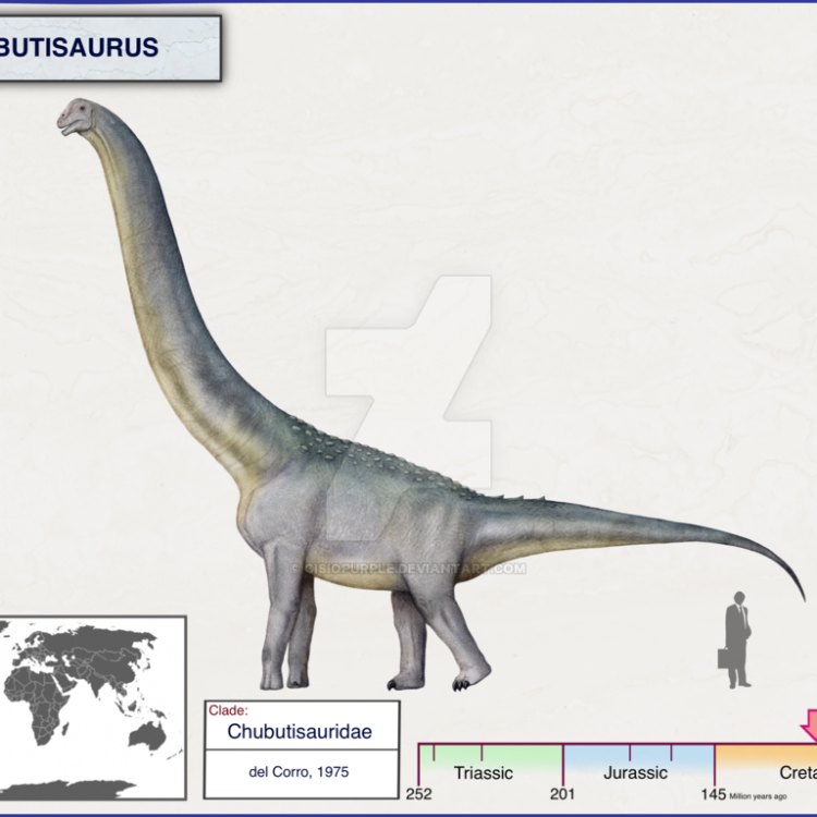 Chubutisaurus