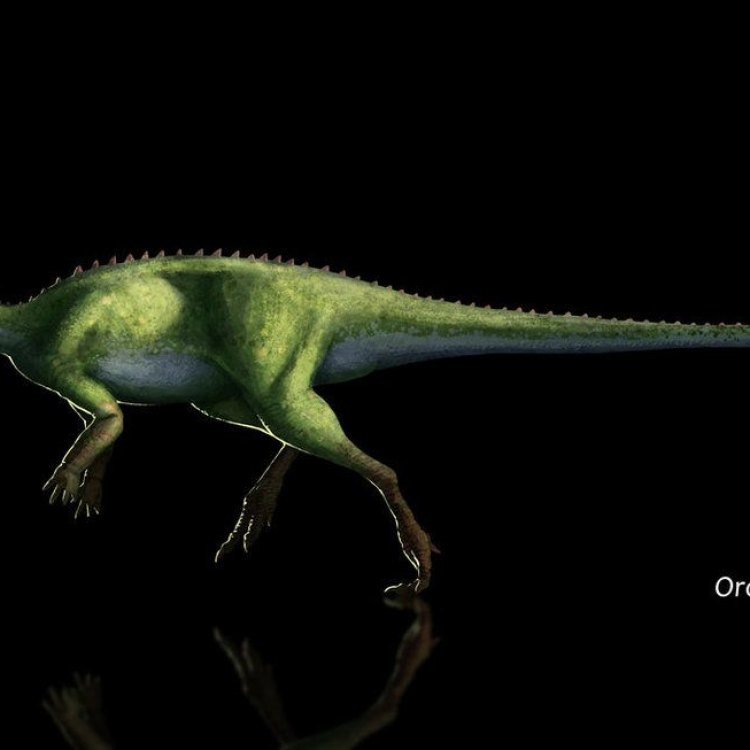 The Fascinating Orodromeus: Uncovering the Secrets of the Late Cretaceous Herbivore