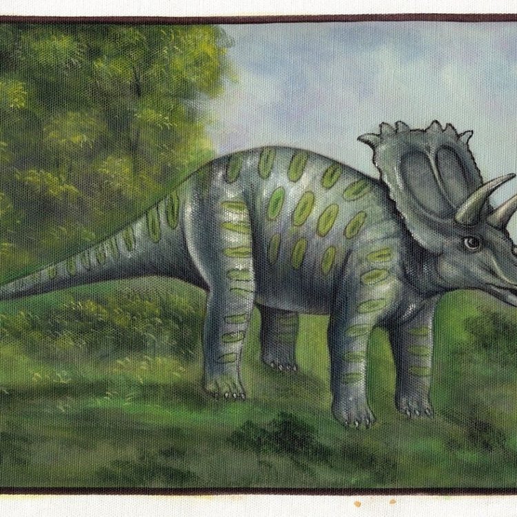 Anchiceratops: A Majestic Herbivore of the Late Cretaceous Era