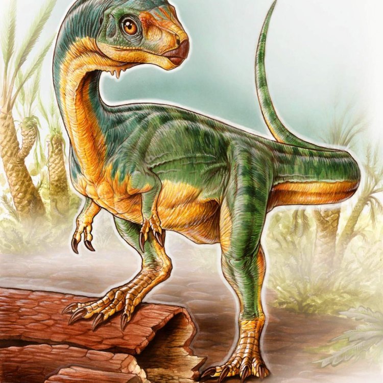 A Unique Dinosaur of the Jurassic Era: Chilesaurus