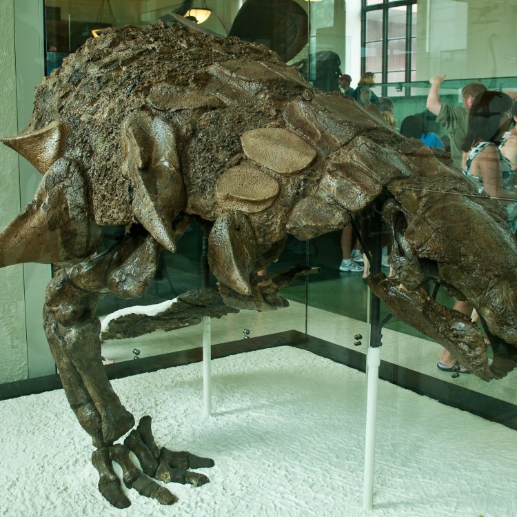 The Incredible Edmontonia: A Fascinating Herbivorous Dinosaur of the Late Cretaceous Era