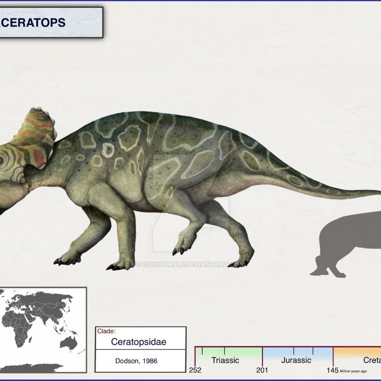 The Fascinating World of Avaceratops: A Herbivorous Dinosaur of the Late Cretaceous