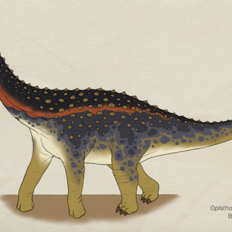 The Mysterious Opisthocoelicaudia of Late Cretaceous Mongolia