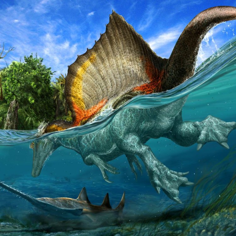 Discovering the Mighty Spinosaurus: A Cretaceous Predator
