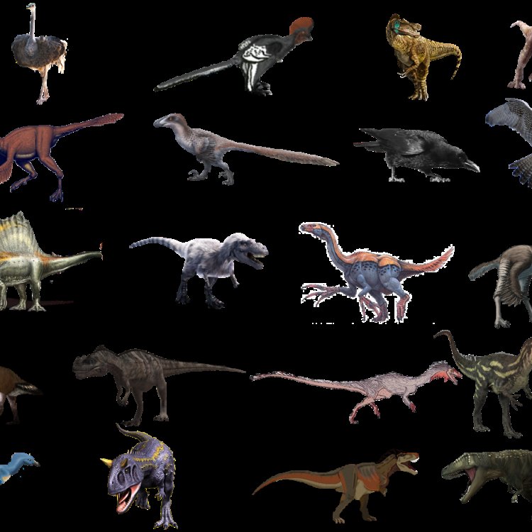 Digging into the World of Theropods: The Fierce and Fascinating Dinosaurs
