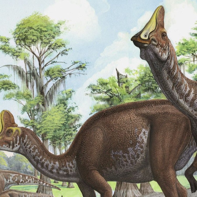 The Fascinating World of Corythosaurus: An Herbivorous Giant of the Late Cretaceous