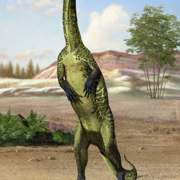 Uncovering the Secrets of the Plateosaurus: A Fascinating Herbivore From the Late Triassic Era