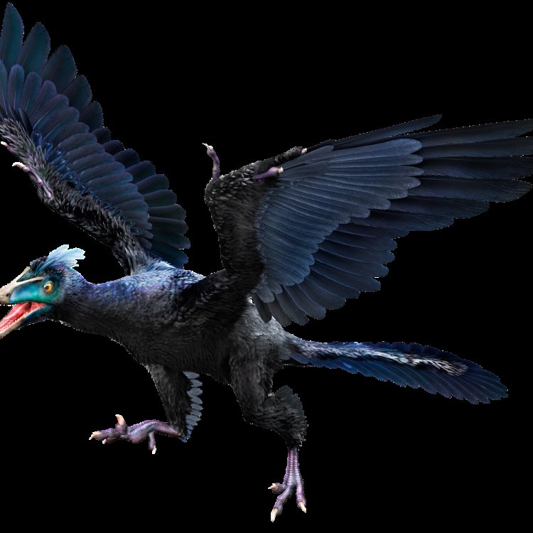 The Fascinating Story of Archaeopteryx: The Dinosaur That Could Fly
