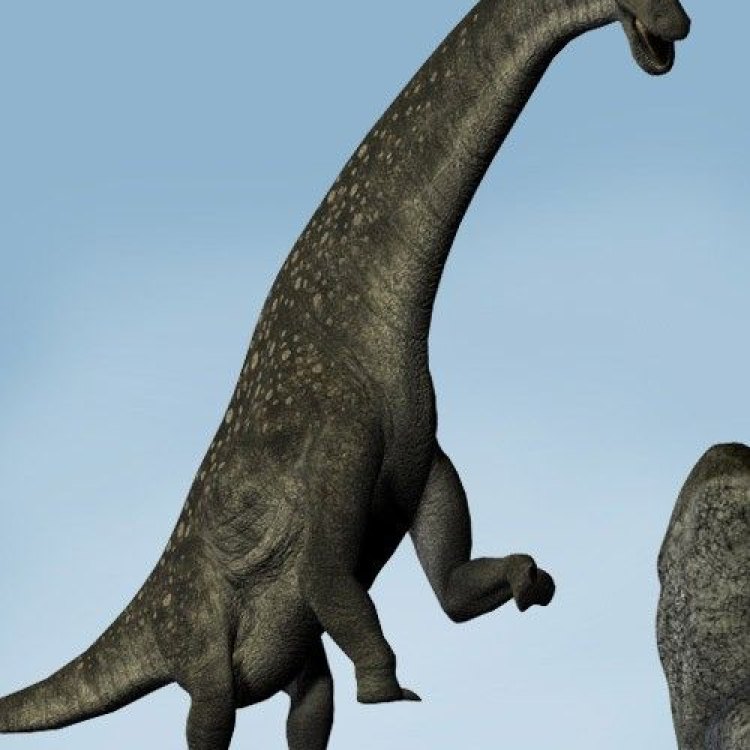 Titanosauridae