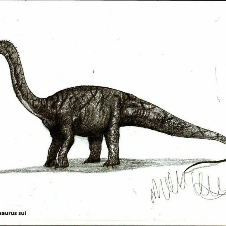 The Majestic Bellusaurus: A Herbivore of the Jurassic Era