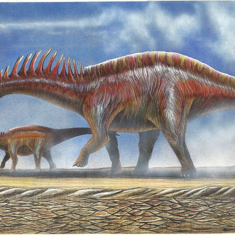 Amargasaurus: Uncovering the Secrets of a Lesser-Known Giant