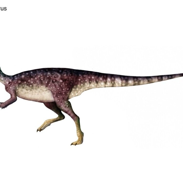 The Enigmatic Valdosaurus: Uncovering the Lesser-Known Herbivore of Early Cretaceous