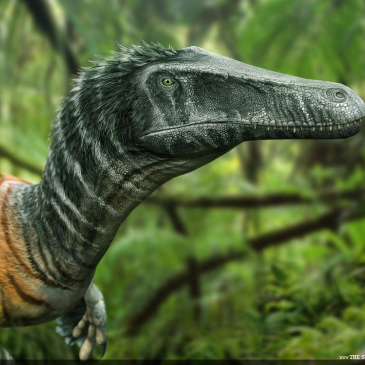 Meet the Mighty Austrosaurus: A Dinosaur of Epic Proportions