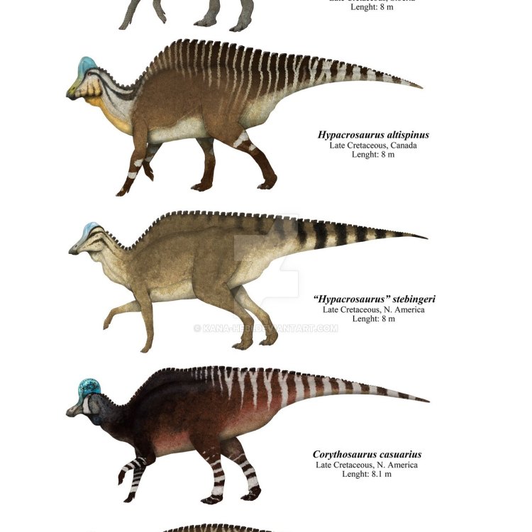 The Magnificent Hadrosaurids: The Herbivorous Giants of the Late Cretaceous