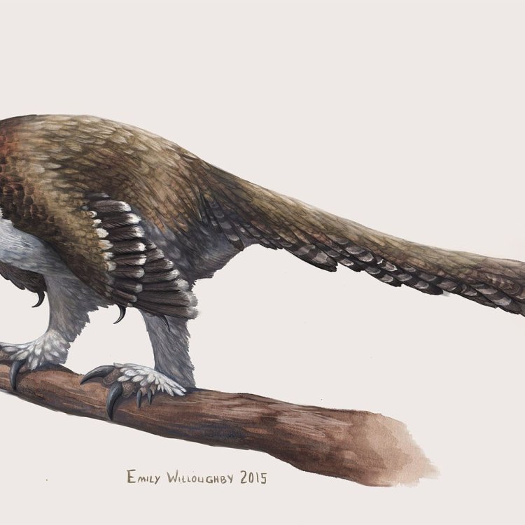 The Ferocious Balaur of Late Cretaceous Romania: A Deadly Island Predator