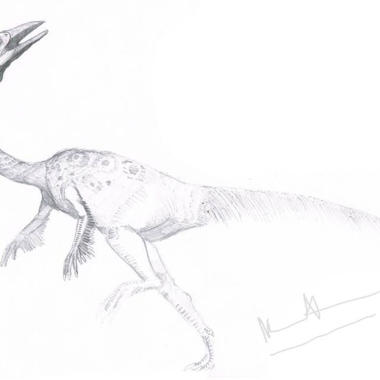 Kinnareemimus: The Mysterious Dinosaur of the Late Cretaceous