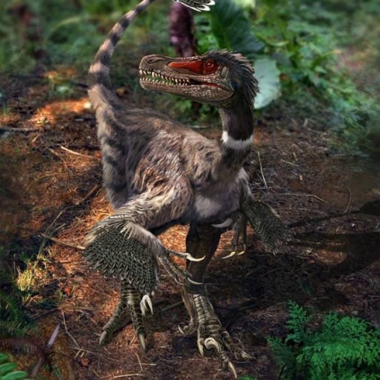 The Fierce Hunter of the Late Cretaceous: Linheraptor