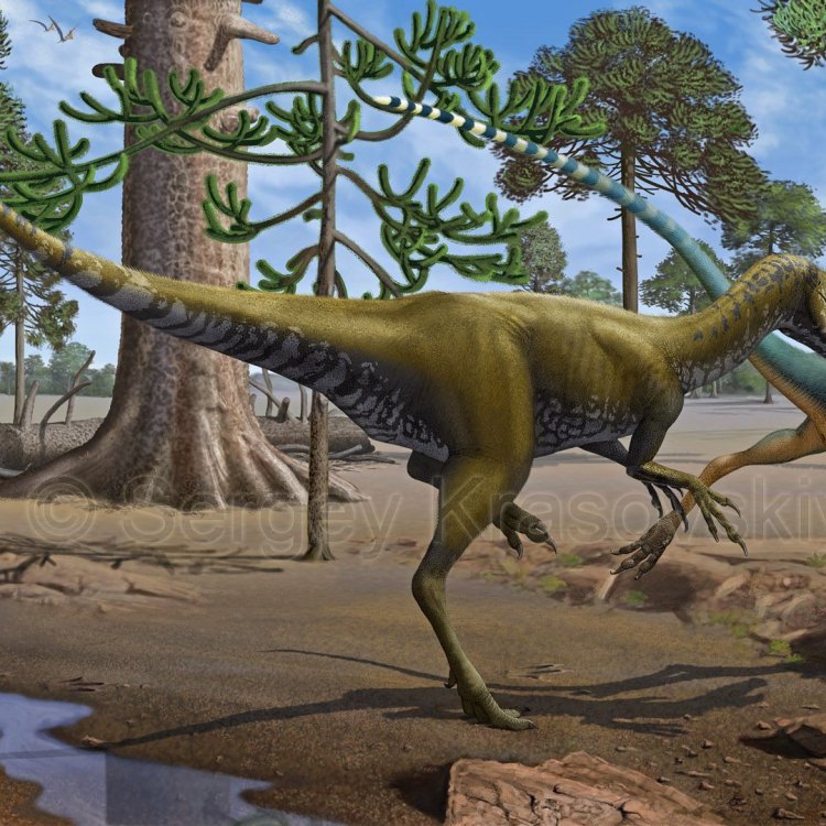 A Lost Jurassic Predator: Exploring the Mysteries of Mirischia