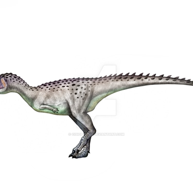 Digging into the Unknown: The Mysterious Rahiolisaurus of Late Cretaceous India