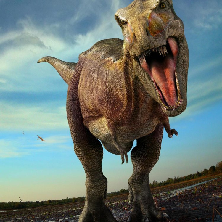 Daspletosaurus: The Active Predator of the Late Cretaceous