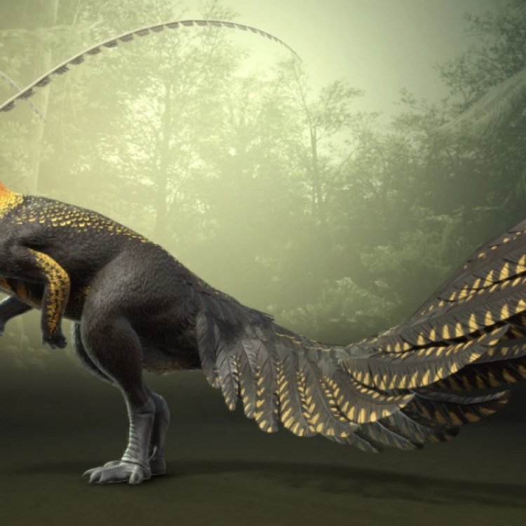 The Mysterious Proa: A Rare and Enigmatic Dinosaur