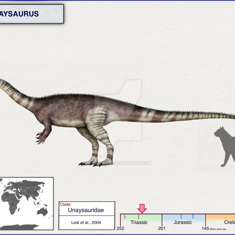 Unaysaurus: Discovering the Ancient Herbivore of South America