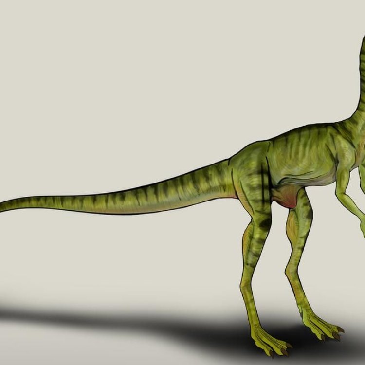 The Mysterious Procompsognathus: A Tiny Terror of the Late Triassic Era