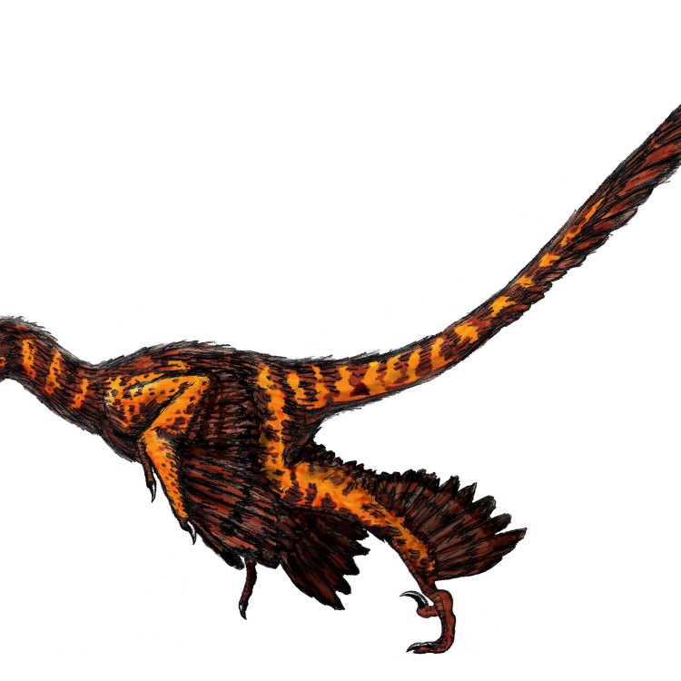 Aorun: A Fierce and Mysterious Dinosaur from the Jurassic Period!