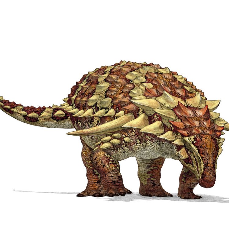 Nodocephalosaurus: Uncovering the Secrets of an Unknown Dinosaur