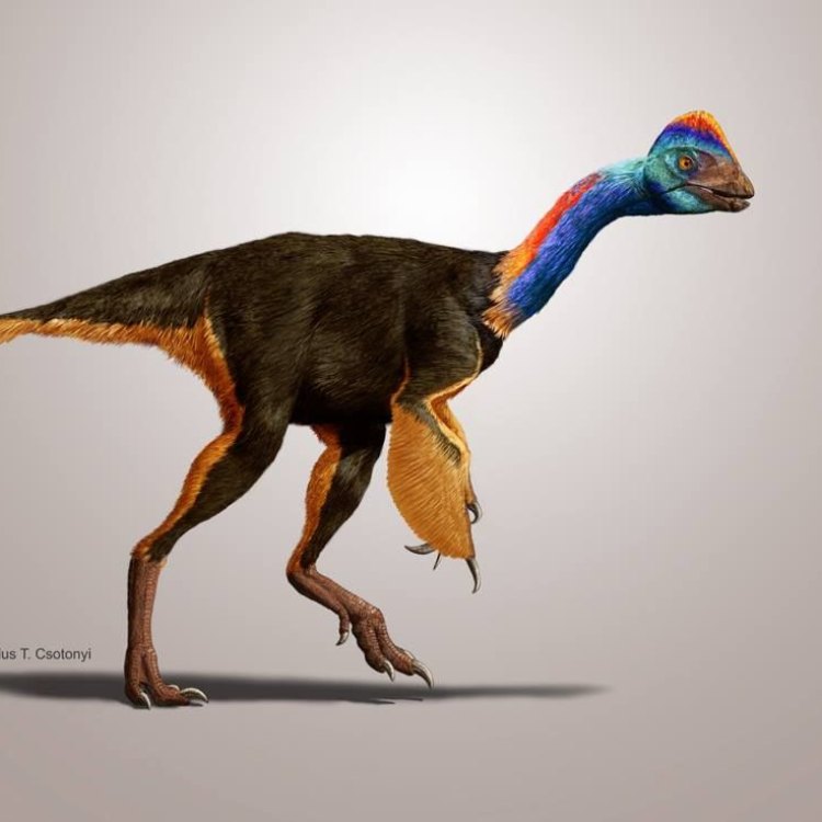 Discover the Mysterious Anzu: A Fascinating Dinosaur from the Late Cretaceous