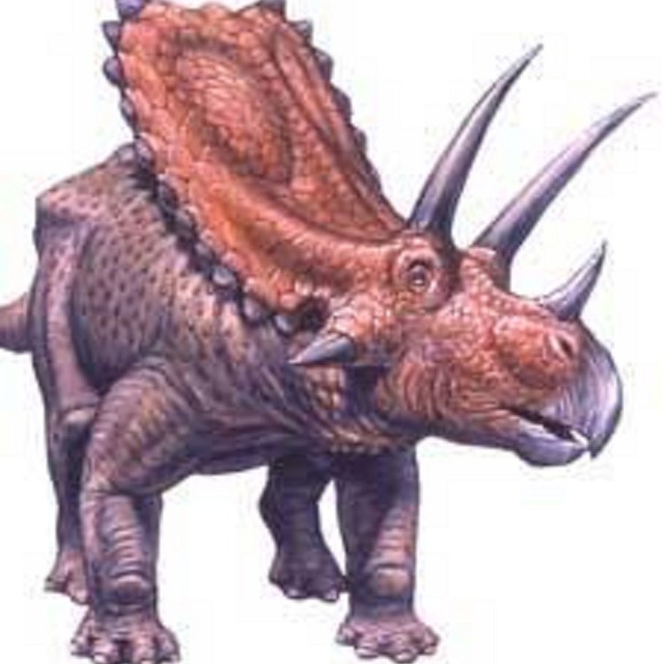 Huxleysaurus