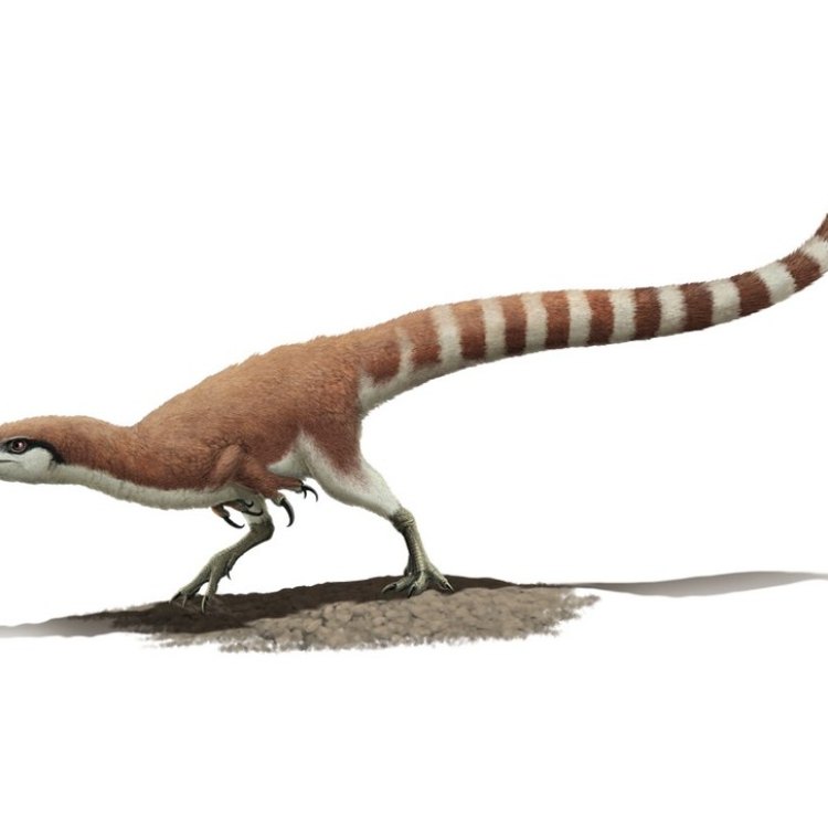The Fierce Sinosauropteryx: A Predatory Dinosaur of the Early Cretaceous