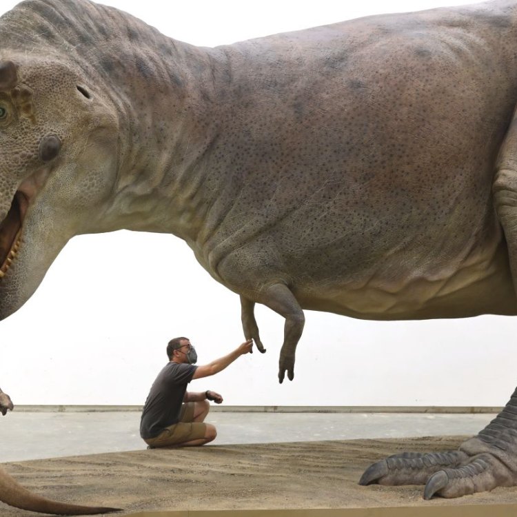 Huxleysaurus: The Mysterious Dinosaur of the Late Jurassic Era