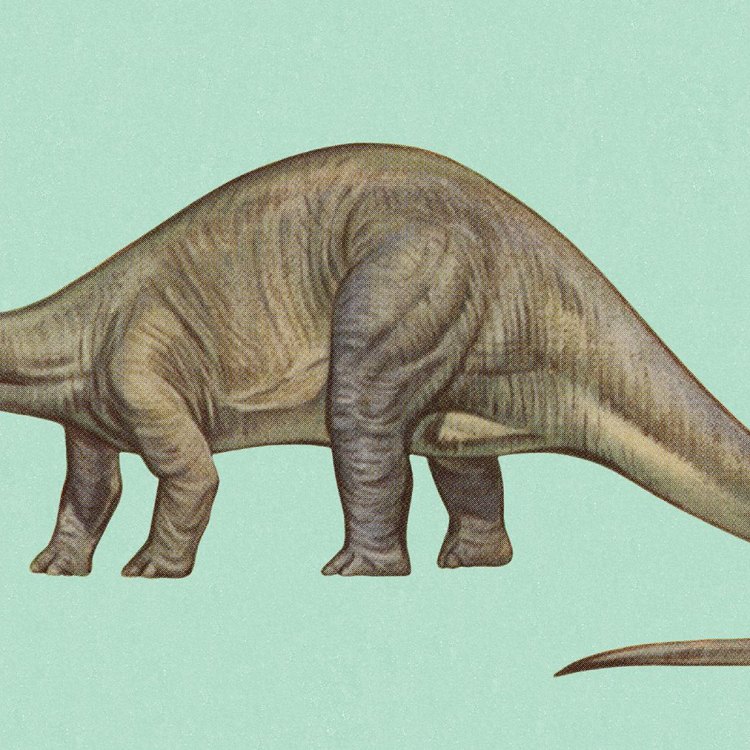The Incredible Eobrontosaurus: Exploring the Prehistoric World of This Late Jurassic Giant
